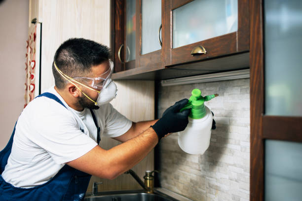 Best Insect Control  in Manistique, MI