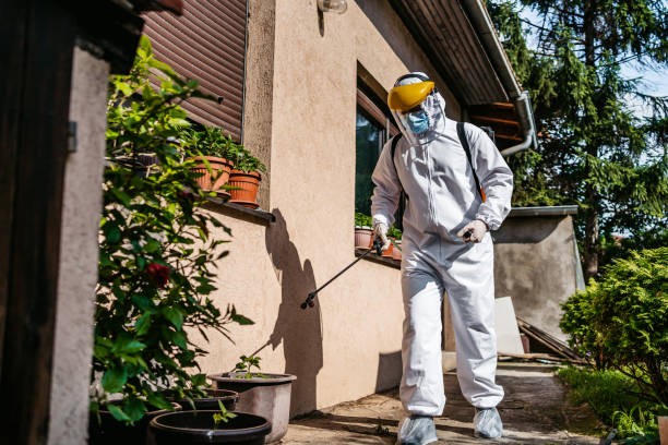 Best Exterminator Services  in Manistique, MI