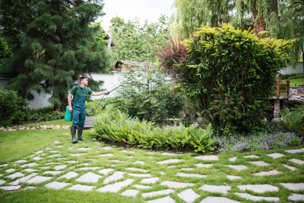 Best Pest Inspection Near Me  in Manistique, MI