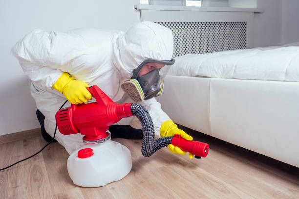 Best Best Pest Control Companies  in Manistique, MI