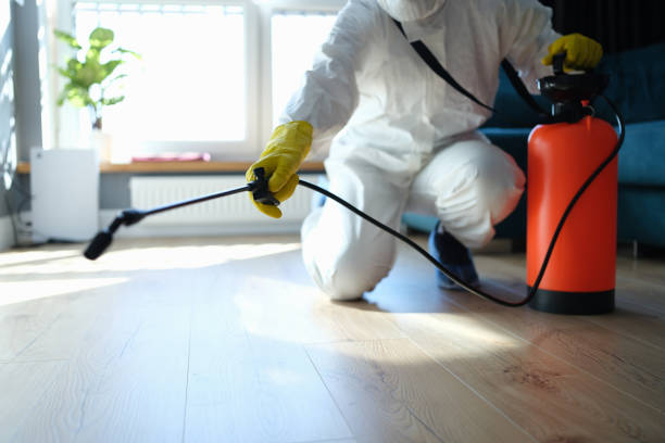 Best Flea Control Services  in Manistique, MI