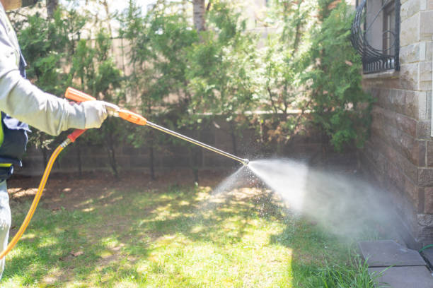 Best Termite Control Services  in Manistique, MI