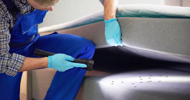 Best Affordable Exterminators  in Manistique, MI
