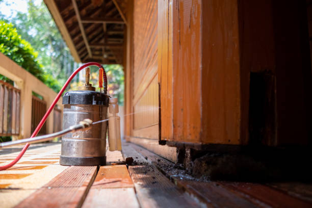 Best Pest Removal Services  in Manistique, MI
