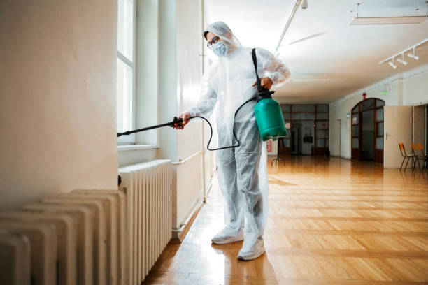Best Flea Control Services  in Manistique, MI