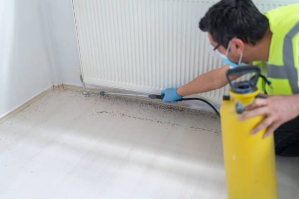 Best Termite Control Services  in Manistique, MI