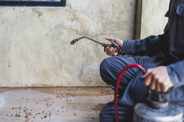 Best Best Pest Control Companies  in Manistique, MI